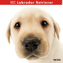 THE DOG 2017年 カレンダー ラブラドール・レトリーバー