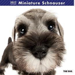 THE DOG 2017年 カレンダー ミニチュア・シュナウザー