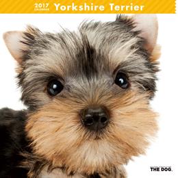 THE DOG 2017年 カレンダー ヨークシャテリア