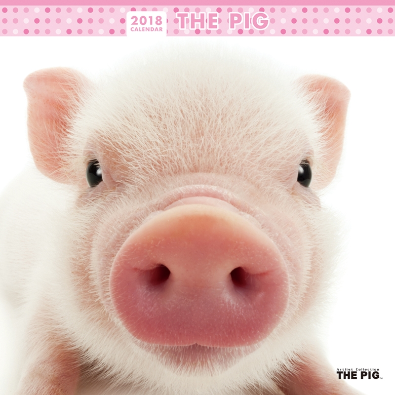 THE PIG 2018年カレンダー 