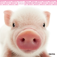 THE PIG 2018年カレンダー 