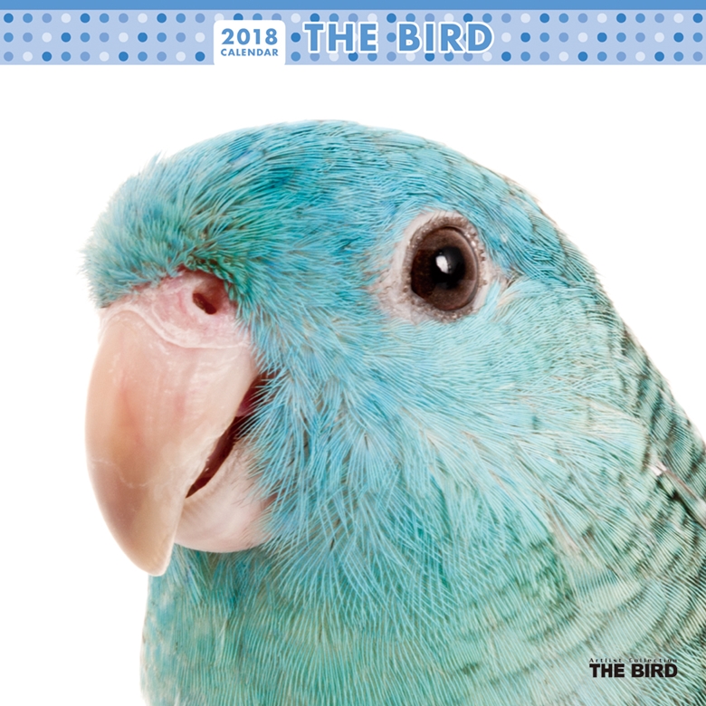 THE BIRD 2018年カレンダー 