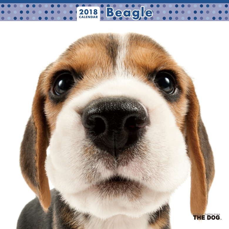THE DOG 2018年カレンダー ビーグル