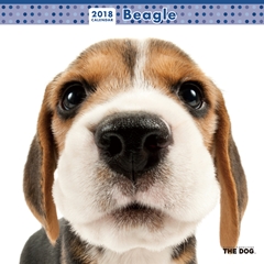 THE DOG 2018年カレンダー ビーグル