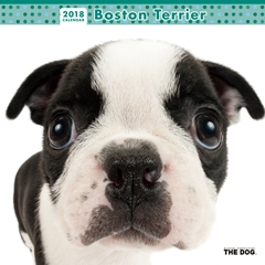THE DOG 2018年カレンダー ボストン・テリア