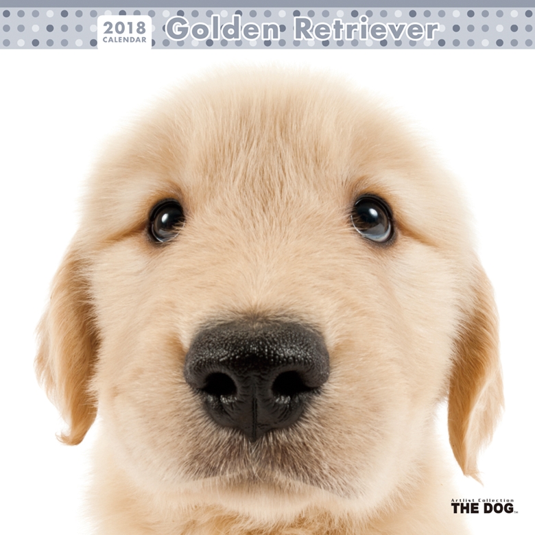 THE DOG 2018年カレンダー ゴールデン・レトリーバー