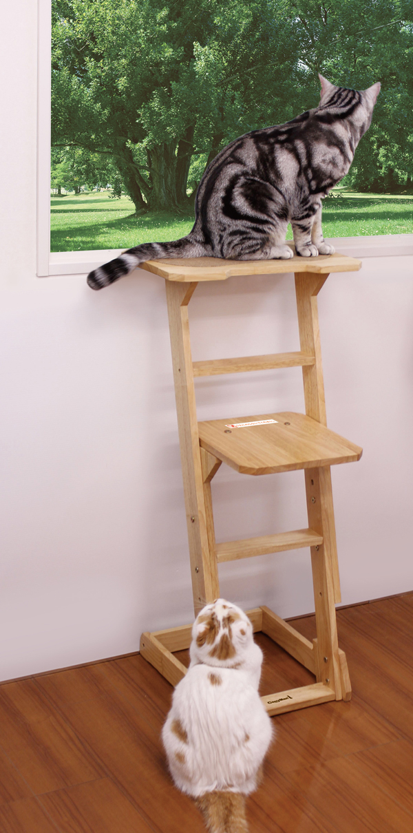 ドギーマン 木製 猫専用見晴らし台 使用イメージ1