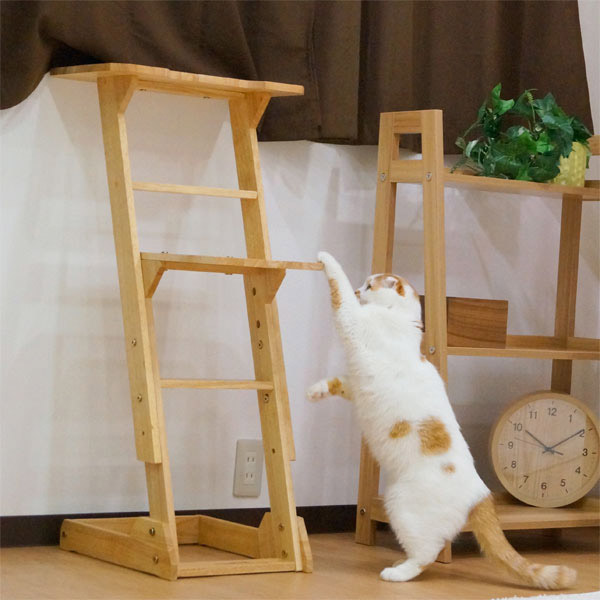 ドギーマン 木製 猫専用見晴らし台 使用イメージ5